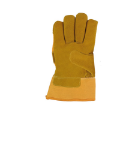 Afbeelding - https-www-ez-catalog-nl-Asset-ed06a50cc60d478982225cf603f4a023-ImageFullSize-2-03-37-615-00-palm-HR-jpg